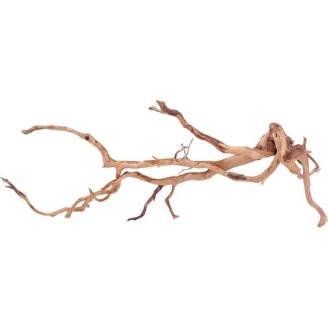 XXL Moorkienwurzel Nr.4314 Holz Deko Aquascaping