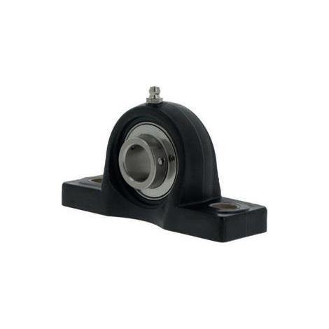 Ensemble palier à semelle/boîtier RASEY45 -TV-VA-HLA 45mm vis sans tête INA