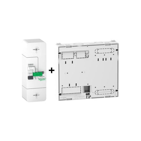 Schneider - Disjoncteur de branchement EDF 60A instantanu00e9 + Platine Legrand - 500mA - Bipolaire - Ru00e9f. : R9FT660+401191 (1/3)