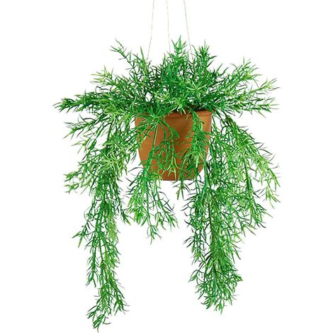 Asparagus artificiel retombant en pot suspendu, L 40 cm, D 29 cm (1/2)