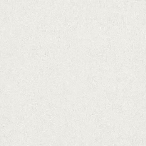 Rasch Tapeten Kollektion Wall Textures 2017 Vol. III 489804 (1/2)