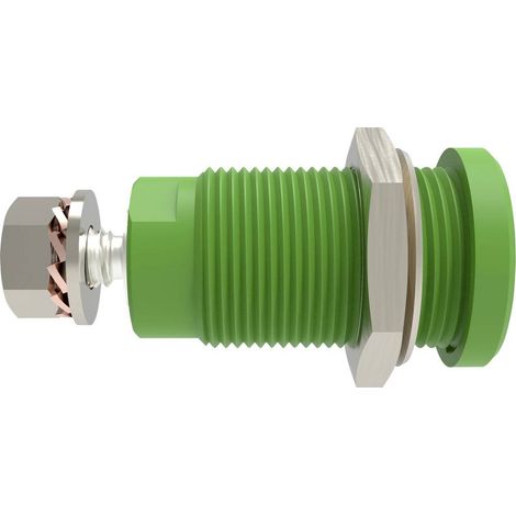 Schützinger DI SEB 9424 Ni / GN Presa integrata di sicurezza dritto Verde 1 pz.