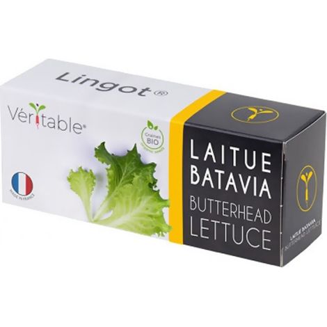 LINGOT VéRITABLE LAITUE BATAVIA VERITABLE 3760262511245