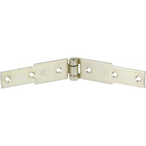 Cerniera Conge Zincata 30x200