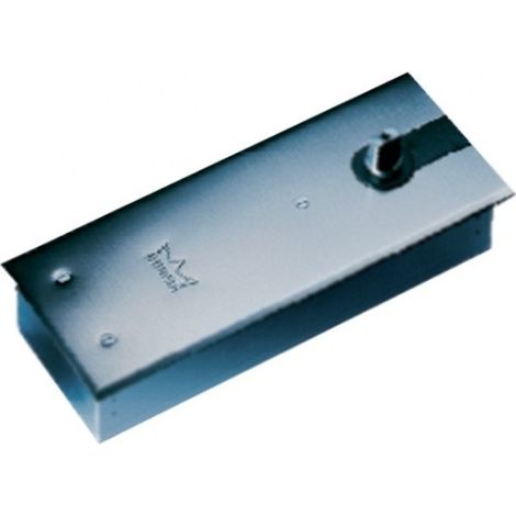 Placa de acero inoxidable para BTS 84 DORMA - 46700022