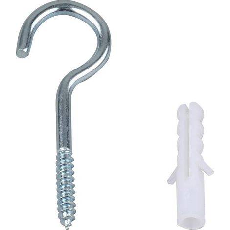 10 Pièce Crochets à Visser Inox, Plafond Vis Crochet, Piton à Visse, Avec 10 PCS Chevilles Kit, Pour Lustres, L'artisanat