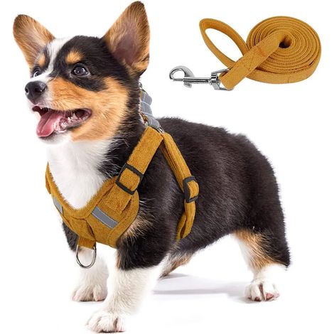 Hundegeschirr aus weichem Wildlederimitat, verstellbarer Schrittbereich mit reflektierenden Details und Zugstopp für Welpen und kleine bis mittelgroße Hunde