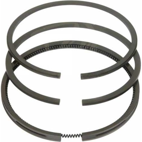 Jeu de segments pour moteur adaptable Briggs & Stratton N° 391 669 (1/5)