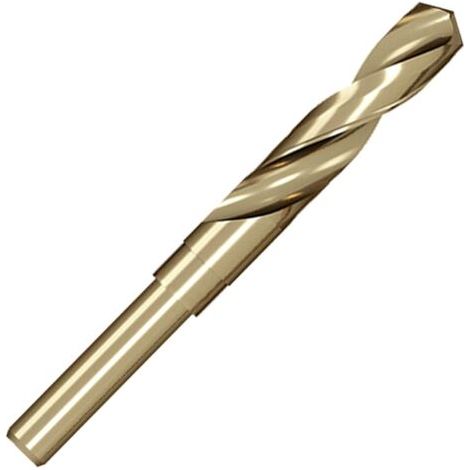 Foret Hélicoïdal 16mm Professional Forets à Métaux pour Métal et Acier Inoxydable, Standard DIN 338 (1/5)
