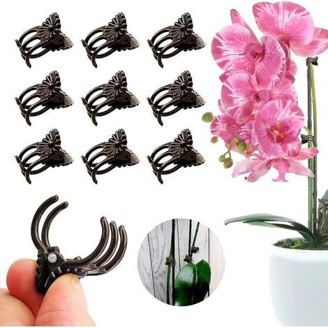 Confezione da 100 clip per orchidee, clip per piante rampicanti, clip da giardino per piante rampicanti (1/5)
