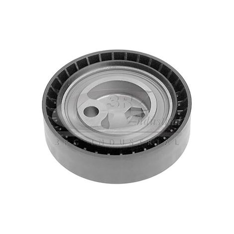 3RG 13117 RODILLO TENSOR
