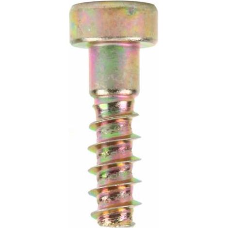 Vis torx pour tronçonneuse Stihl 020T, 200T, 021, 023, 024, MS240, 025 (1/3)