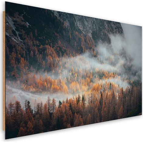 Quadro deco panel, Foresta nella nebbia - 60x40 (1/5)