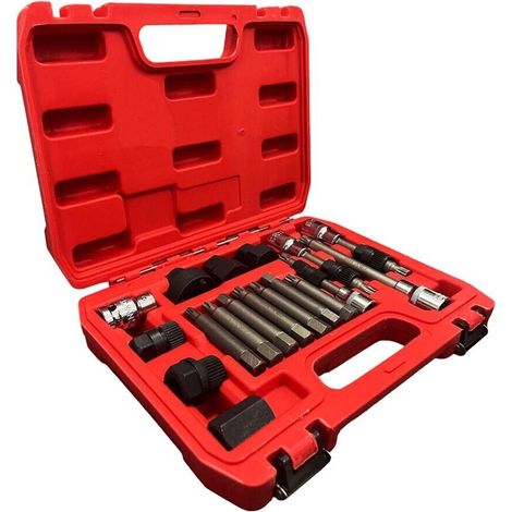 Kit Chiavi Smontaggio Montaggio Puleggia Alternatore Motore Auto Estrattore 18pz (1/2)