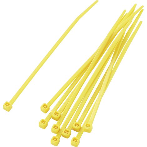 TRU COMPONENTS 1592832 TC-PBR-100-4YW203 Kabelbinder 100 mm 2.50 mm Gelb 100 St.