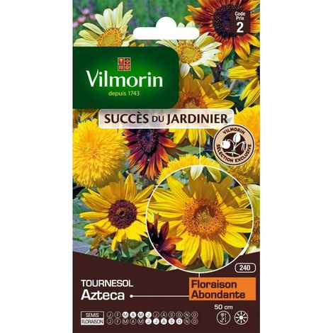 Vilmorin - Tournesol Azteca