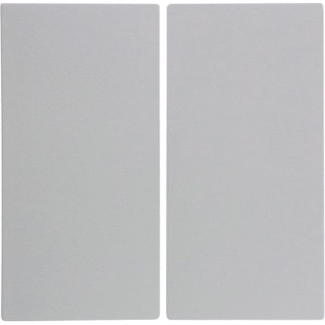 Llaves para interruptores de 2 teclas, blancas, brillantes, B.Square (1/4)