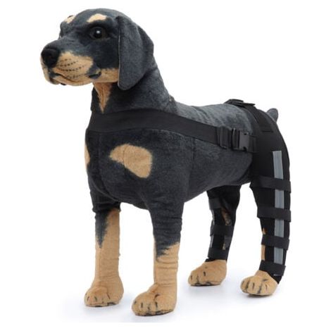 (taille S)Genouillère de chien de protection de jambe arrière double pour l'arthrite de luxation de la rotule maintient l'articulation au chaud soutien supplémentaire (1/5)