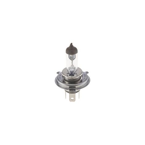 Ampoule, projecteur longue portée BOSCH 1 987 302 441 DAF 20003402650 3402650