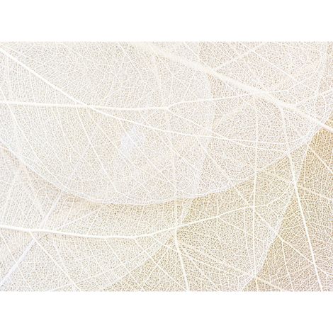 Poster Thème Chemins de Feuilles -Leaf Paths - 360 x 270 cm (1/3)