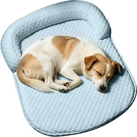 Tappetino rinfrescante per cani, cuscino traspirante, 65 x 50 x 12 cm. Tappetino rinfrescante per gatti. Per cani di piccola e media taglia, cuccioli e gattini. (1/5)
