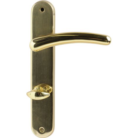 Südmetall WC-Türgriff-Garnitur Langschild Franziska Messing poliert gold 225 x 40 mm Beschläge