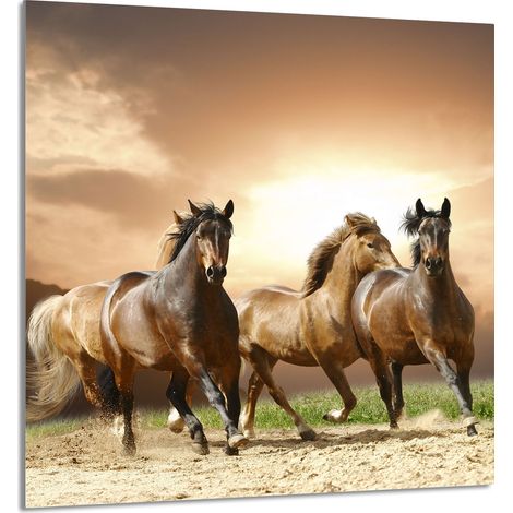 GLASPLATTE FÜR KÜCHE 60x65 Pferde (1/5)