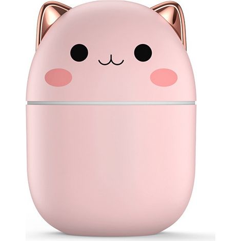 Humidificateur Mini - Brumisateur À Froid USB - Pour Chambre Bureau Voiture - 100 ml - Blanc (1/5)