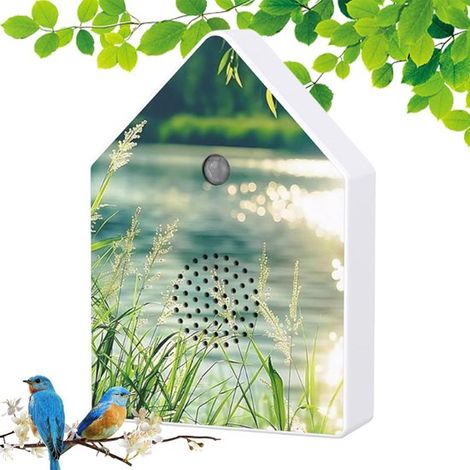 Maison pour oiseaux avec capteur sonore – 4 sons naturels d’oiseaux avec détecteur de mouvement et volume réglable – Décoration sonore pour toilettes spa et espace détente – Vert (1/5)