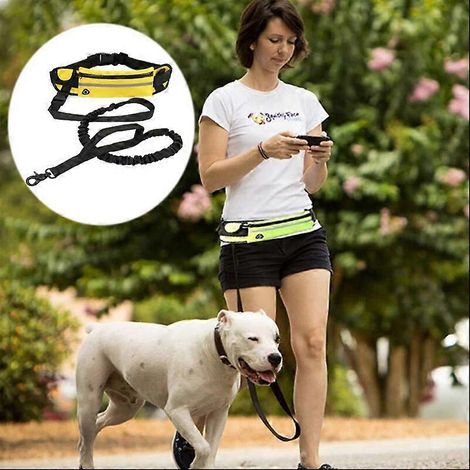 Reflektierendes, elastisches Hunde-Bauchtaschen-Set, Sportgürtel, freihändige Hundeleine, Jogging-Zugseil, Hundeleinen (1/5)