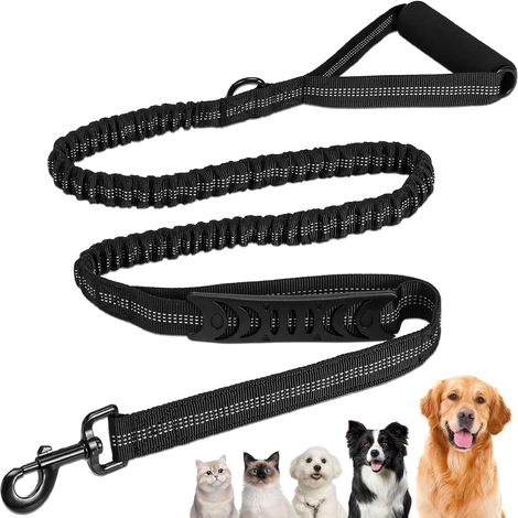 Correa elástica para perros, asa doblemente acolchada, cuerda de nailon reflectante, resistencia a la rotura de 68 kg, para entrenamiento y paseos nocturnos. (1/5)