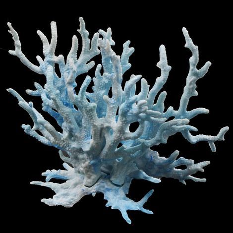 Coral Ornament, Soft Resin, Realistic Design, Aquarium Decoration, Aquatic Landscape (1/5)