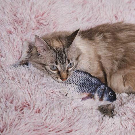Jeu Interactif - The Concept Factory - Poisson - Animaux - Gris (1/4)