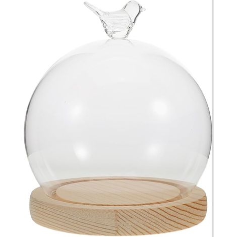 Cloche En Verre Transparent Borosilicaté Avec Socle Bois Pour DéCoration Diy Protection Anti-PoussièRe 14X12X12 Cm (1/5)