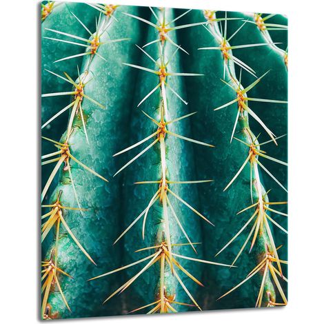 Piano del tavolo in vetro 40x52 con cactus (1/5)