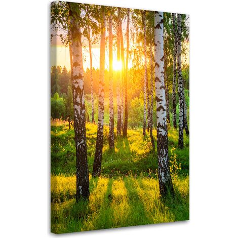 Tableau déco Bouleaux arbres coucher de soleil 40x60 (1/4)