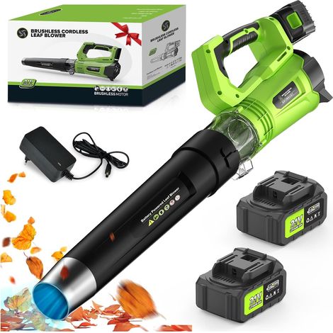 Souffleur Batterie avec 5 Vitesses, Vitesse d’air Jusqu’à 320 Km/h, 750 CFM 98000 RPM Souffleur Feuille avec 2 x 4000 mAh Batteries, pour L'entretien de la pelouse, Le dépoussiérage et Le déneigement (1/5)