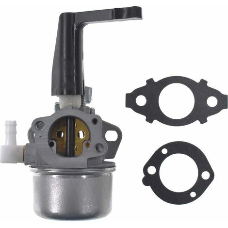 Applicabile al carburatore di ricambio con kit guarnizioni per Briggs & Stratton 696065 110402 (1/5)