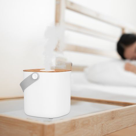 Tragbarer Luftbefeuchter (600 ml), Nano-Zerstäubungs-Luftbefeuchter, Tisch-Luftbefeuchter in Holzoptik, USB-wiederaufladbares Modell mit Holzoptik (1/5)
