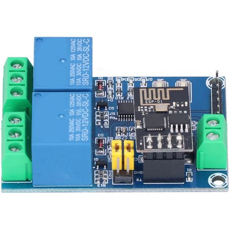 Relais WiFi ESP8266 Double Canal 12V pour Maison Intelligente IoT, Commutateur à Distance par Application Mobile (1/5)
