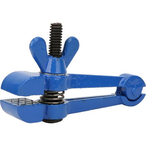 Mini-Handschraubstock, Stahl, blau lackiert, Mehrzweckzange, kleines Werkzeug, Zubehör (25 mm) (1/5)
