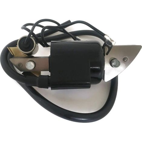 Sostituzione applicabile Honda g150 g200 g300 5hp E1500 ed1000 fr 500 hs50 30560 - 883 - 015 bobina di accensione solenoide gruppo motore tosaerba motore (1/5)