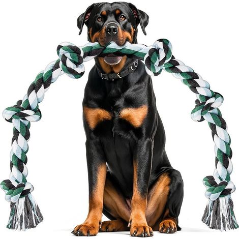 Corde à mâcher en coton robuste et durable de 100 cm (6 nœuds), jouet interactif pour le nettoyage des dents du chien (1/5)