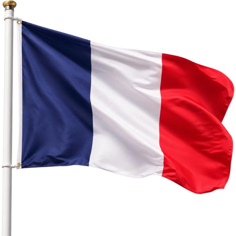 Drapeau France 90 x 150 cm, drapeau français avec 2 œillets en laiton, drapeau de pays pour extérieur, matériau polyester, résistant au vent et à la pluie