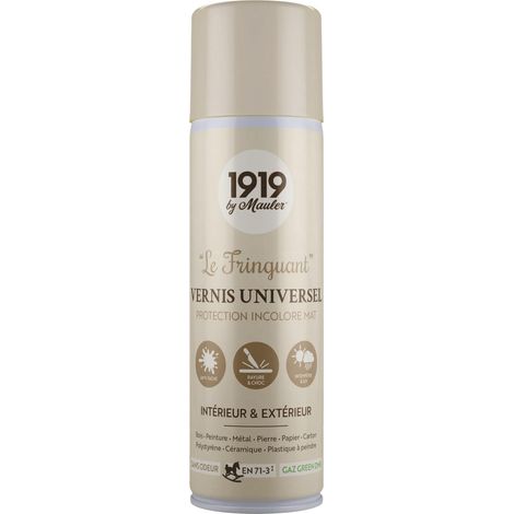 Vernis Protecteur Multisupports Mat Incolore 400ml (1/5)