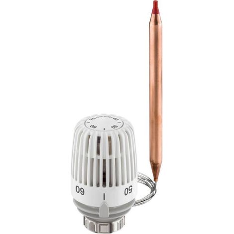 HEIMEIER Thermostat-Kopf K mit Anlege-bzw.Tauchfühler, 40-70 Grad C, 6602-00.500 (1/5)