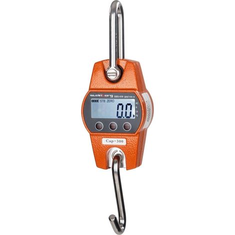 Gancio di pesatura industriale professionale 300kg / 100g 3414116