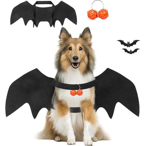 Katzen Halloween kostüm chien FLEDermaus flügel, FLEDermausflügel chien, Halloween FLEDermauses Hundekostüm (1/5)