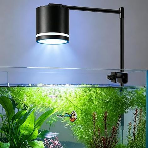 Clip Lamp for Aquarium, White and Blue, COB LED Aquarium Lighting for Coral and Freshwater Bins from 30 to 55 cm, with Dimming, Timer and 24/7 Cycle Functions (1/5)