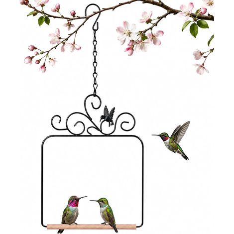 Balançoires et perchoirs pour colibris  perchoir à structure métallique avec barre en bois et chaîne de suspension  balançoire noire pour extérieur, jardin, pelouse ou terrasse  (1/5)